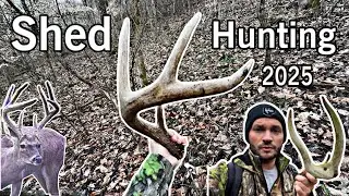 Shed Hunting | Big Woods | 2025
