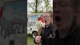 DANDELION LOVE #flowers #dandelions #nature #uhaul #moving #blow #seeds