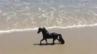 Breyer realistic photos