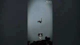 gravity who...
