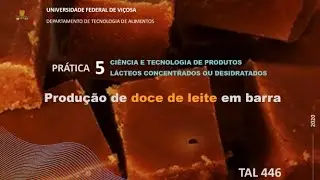 PRÁTICA 05   Produção de doce de leite em barra