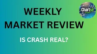 WEEKLY MARKET REVIEW |MARKET CRASH IS IT REAL OR NOT?