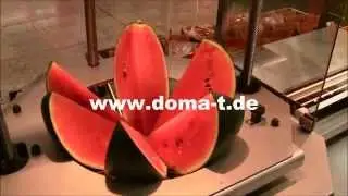 DOMA-T Fruit Processing Machine MELOma-T
