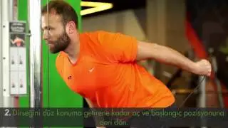 Bentover Cable One Arm Kick Back