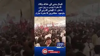 Lawyers' sit-in against canal construction enters second day, still ongoing | Sindh Best Digital |