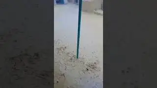 bahut  Teez Barish🌦🌧⛈️||#youtubeshorts #shortvideo #ytshorts