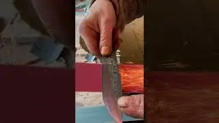 Unlocking the Dark Secrets of Clip Point Wilderness Blades