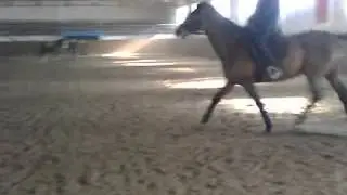 Видео0000