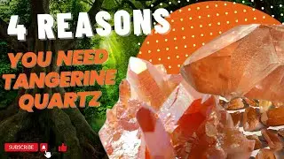 Discover the Magic of Tangerine Quartz | Enhance Your Energy and Joy!