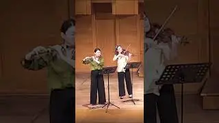 Elisabeth de la Guerre - Sonate in re #baroque #violin #music #musik #barock #flute #french