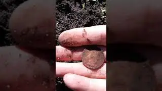 Metal Detecting Humiston Beach Park