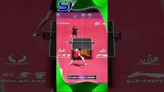 Hina Hayata best backhand #卓球の試合 #탁구 경기 #pingpong #tabletennis #shorts