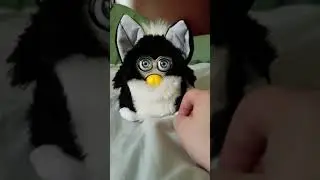 Scene the Foobie