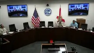 06-13-2019 PUBLIC ART DESIGN BOARD 1 - City of Clearwater Beach Florida Gov Corruption