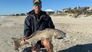 Bull Red Run Continues