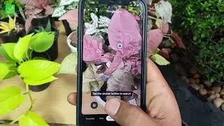 Introductory Video - A useful Application for every Garden Lover | Ep1 | my gardendoctor