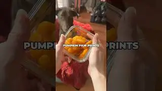 Have Leftover Pumpkin from Thanksgiving?