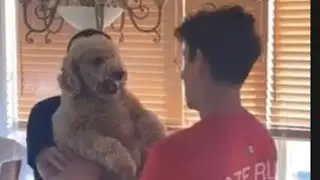 Brawadis dog booker gets mad 😡 🤬😤😠gets mad at fazerug#shorts