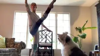Pittsburgh Ballet Theatre Dances from Home