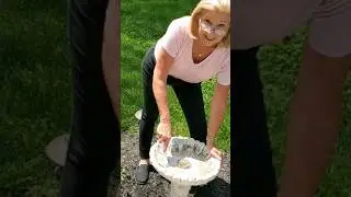 What do you think? Bird baths...yes or no? #shorts