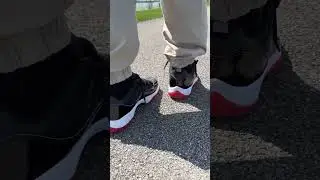 Jordan 11 Low Bred- on feet! #sneakers #shorts 🔥🔥🔥