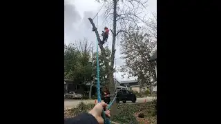 Spider Leg Rigging