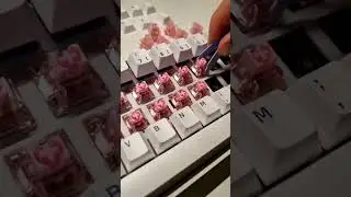 Changing from Akko Pink to Akko Purple Switches