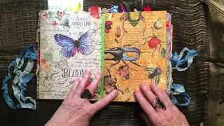 Graphic 45 stunning paper 
