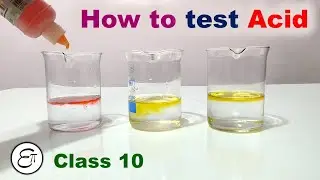 How to Test an Acid using Methyl Orange || in Hindi for Class 10
