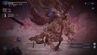 Elden ring Nightreing depth 5/9 999 best duchess player