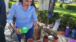 unas ricas mezcaladas