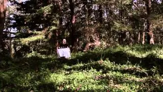 YASSOU - Last Cicada
