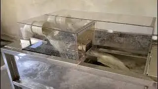 [EagleTry@Nanotech] Driving Range Ball Washing System