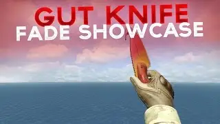 FN Gut Knife | Fade Showcase
