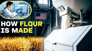 Inside a Modern Automated Flour Mill|How Flour Is Made in the USA