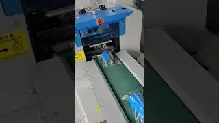 TTR Ribbon Flow Packaging Machine HN350X | Code Printing Function | 1 Roll Test