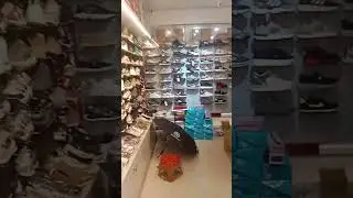 Bata showroom 🌹🌹 #viralvideo #travel #lifeisbutadream #unfrezzmyaccount