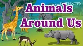 SCIENCE, ANIMALS AROUND US