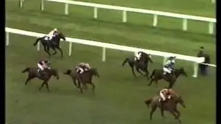 Beech Road- The 1989 Champion Hurdle (Cheltenham)