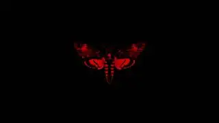 Lil Wayne - Trigger Finger (Instrumental)