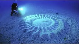 Scientists Discovered Mysterious Underwater &ldquo;Crop Circles&rdquo; &ndash; And Then They Saw What Had Made Them