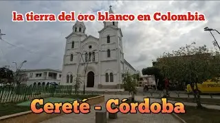 COMÍ CABEZA DE GATO en CERETE CÓRDOBA
