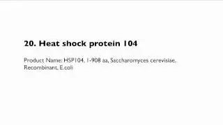 We carry 36 types of Heat Shock Proteins
