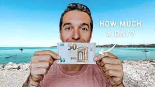 How much does VAN LIFE Germany cost?