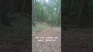 Iron Hoof - Conyers, GA Hole 5 - Birdie Putt / Par 3 #putt #discgolf #discgolfcourse