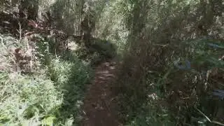 Exploring Baguio: Camp John Hay&rsquo;s Yellow, Red Trails, Secret Garden Walk (iPhone 17 Pro + DJI Flip)