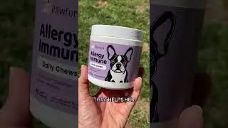 Can This Supplement Fix My Dog's Itchy Skin?