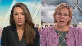 'Let me finish': Zali Steggall's heated clash with Sky News host over Sydney protests