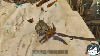 [スト鯖ARK Day3] 鉱脈と毛を求めて #BAKIARK