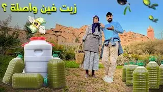 طحنا زيتون لن تصدق شحال طاح علينا ليتر فيديو من المعصرة  🤯🫒